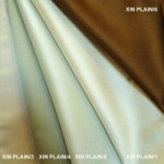Nontrans-Xin-Plain